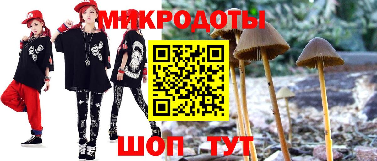 Реж  Псилоцибиновые грибы GOLDEN TEACHER  сколько стоит  Вход с VPN 